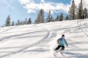 alpine skiing