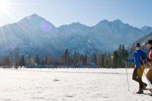 snowshoe