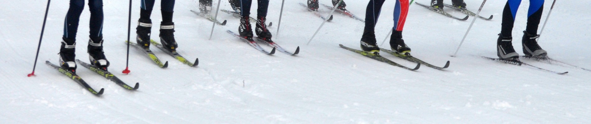 Skirennen 2019