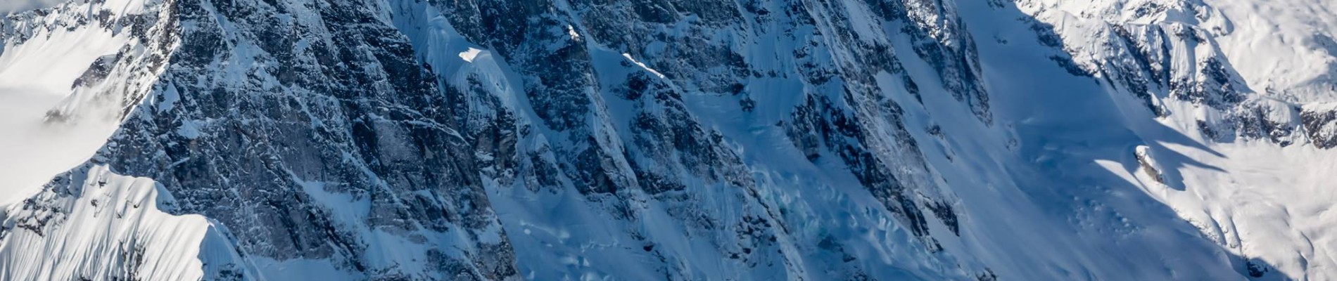 NWAC backdrop